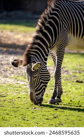 热门午夜福利合集