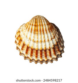 帝王 专业的导航唐诗宋词